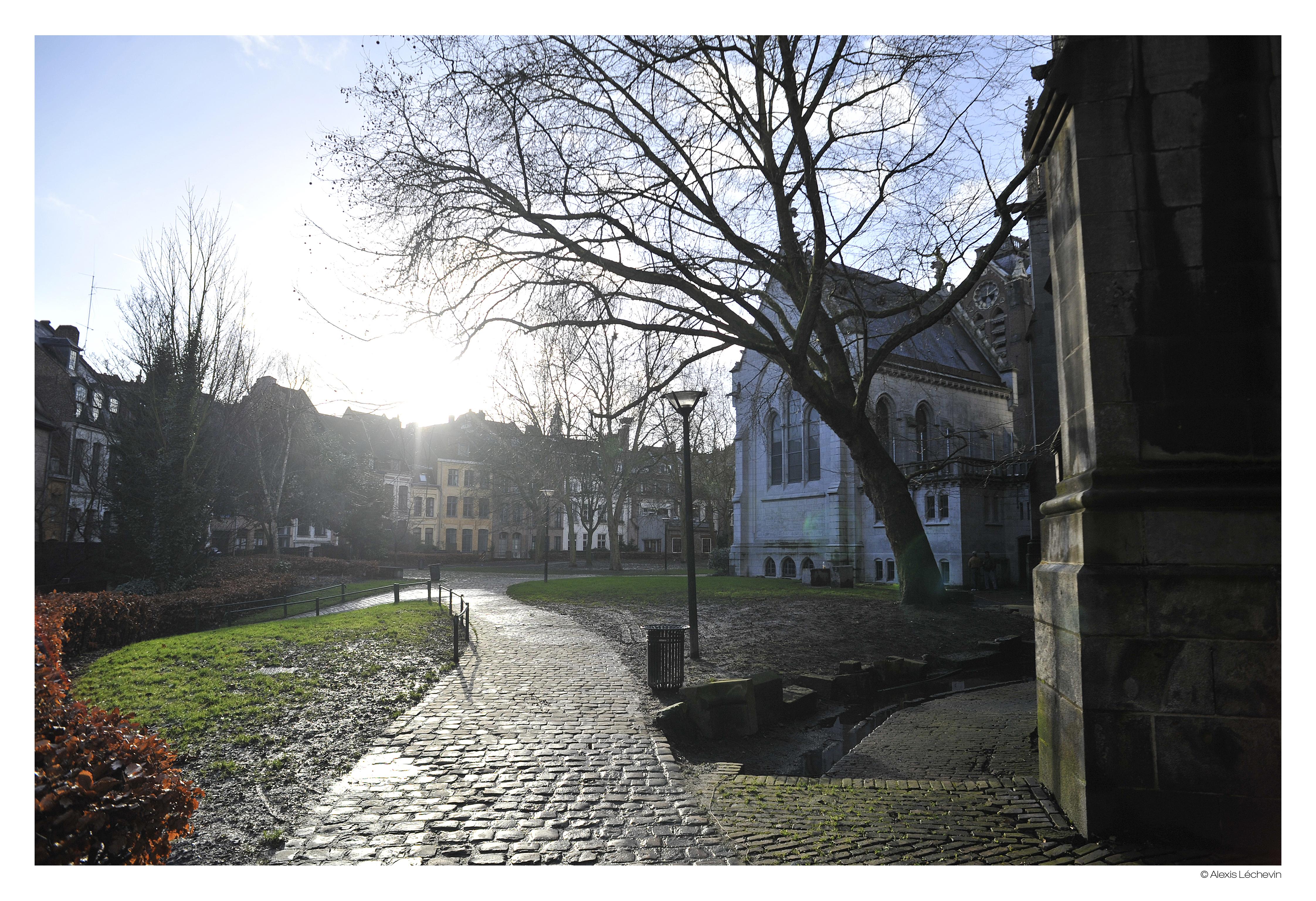 Hotel De La Treille Lille Eksteriør billede